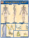 QuickStudy - Anatomy Test